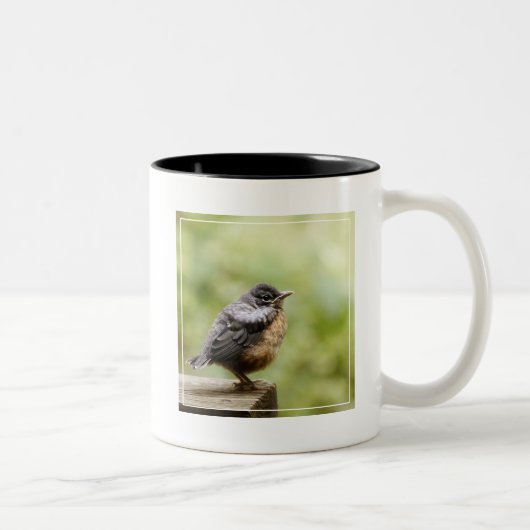 Junger Robin Zweifarbige Tasse (Rechts)