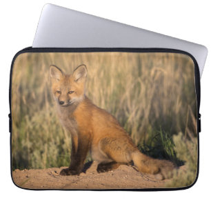 Junger Rotfuchs zur goldenen Stunde Laptopschutzhülle