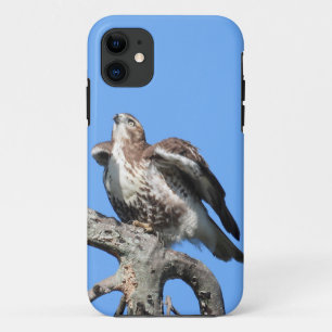 Junger Rotschwanzbussard Case-Mate iPhone Hülle