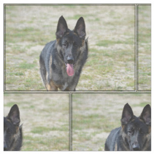 Junger Schäferhund Stoff
