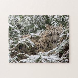 Junger Schnee-Leopard Puzzle