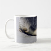 Junger Seehund schlafend an einem Strand - Austral Kaffeetasse (Links)