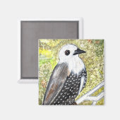 Junger Starenschreck Magnet (Vorderseite/Rückseite)