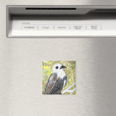 Junger Starenschreck Magnet (In Situ (Geschirrspüler))