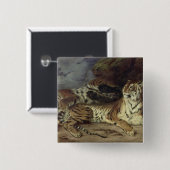 Junger Tiger, der mit seiner Mutter, 1830 spielt Button (Vorne & Hinten)
