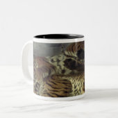 Junger Tiger, der mit seiner Mutter, 1830 spielt Zweifarbige Tasse (Vorderseite Links)