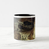 Junger Tiger, der mit seiner Mutter, 1830 spielt Zweifarbige Tasse (Mittel)
