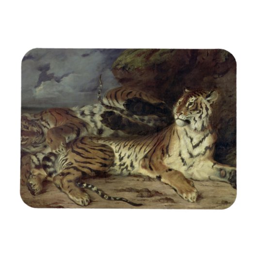 Junger Tiger spielt mit seiner Mutter, 1830 (Öl au Magnet (Horizontal)