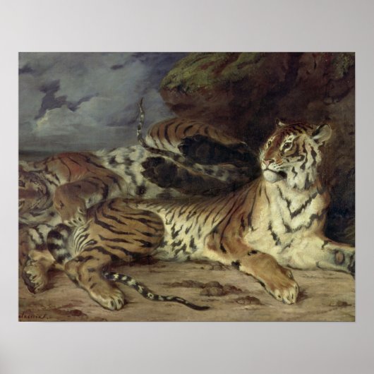 Junger Tiger spielt mit seiner Mutter, 1830 (Öl au Poster (Vorne)