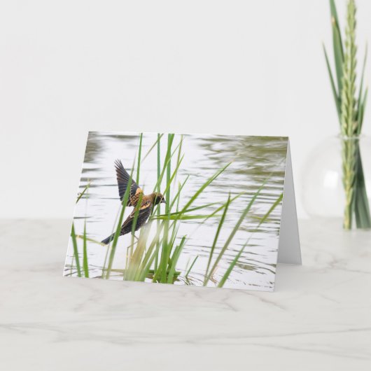 Junger Vogel im Flug Karte (Vorderseite)