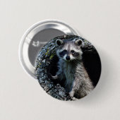 Junger Waschbär Button (Vorne & Hinten)