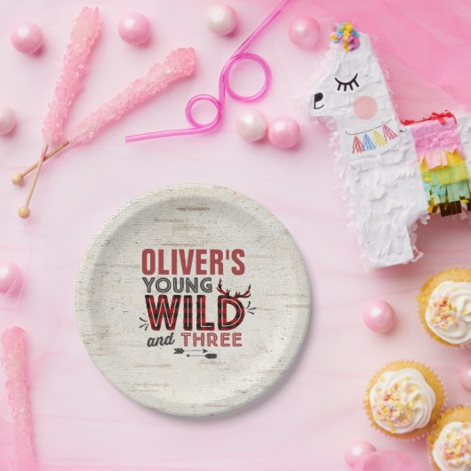 Junger wilder u. drei Pappteller-rustikaler Pappteller (Party)