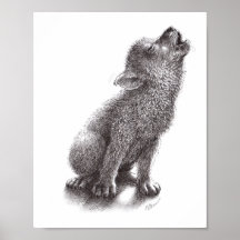 Junger Wolf heult den Mond an.