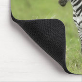 Junger Zebra im Serengeti schlicht Mousepad (Ecke)
