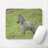 Junger Zebra im Serengeti schlicht Mousepad (Mit Mouse)