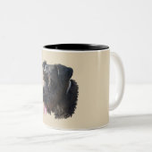 Jüngeres der Schnauzer Zweifarbige Tasse (VorderseiteRechts)