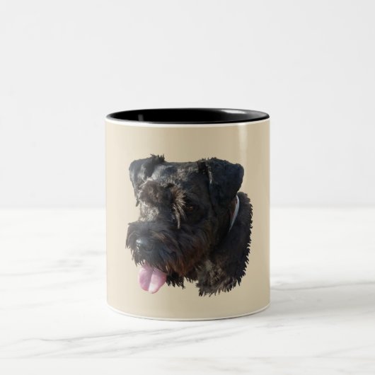 Jüngeres der Schnauzer Zweifarbige Tasse (Mittel)