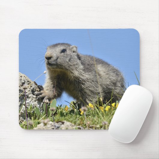 Junges alpines Murmeltier Mousepad (Mit Mouse)