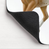 Junges Appaloosa-Pferd Mousepad (Ecke)