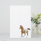 Junges Appaloosa-Pferdebriefpapier Briefpapier (Stehend Vorderseite)