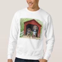 Junges Beagle-Sandy-Nebenfluss-bedeckte