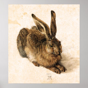 Junges Hase-Plakat Albrecht Durer Poster