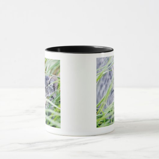 junges Katzenporträt Tasse (Zentrum)