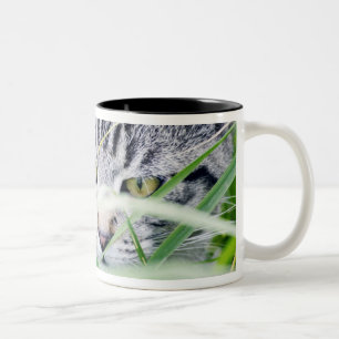 junges Katzenporträt Zweifarbige Tasse