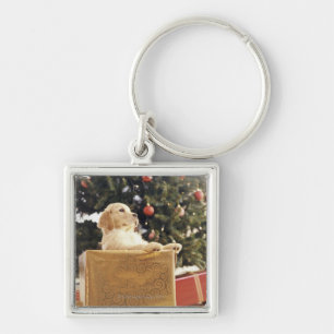 Junges Labrador, das auf einem Weihnachtsgeschenk Schlüsselanhänger