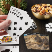 Junges Löwen Kartenspiel Spielkarten (In Situ)