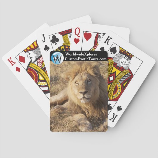 Junges Löwen Kartenspiel Spielkarten (Rückseite)