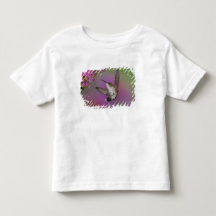 Junges männliches Rubinkehlkolibri Kleinkind T-shirt