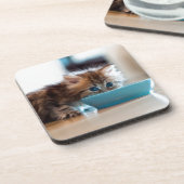 Junges persisches Kätzchen Getränkeuntersetzer (Linke Seite)