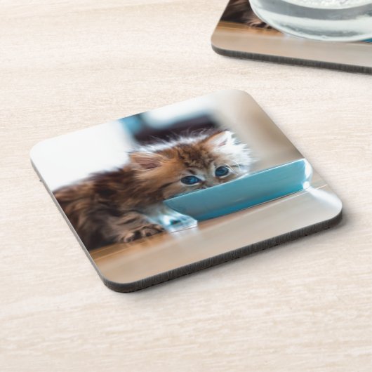 Junges persisches Kätzchen Getränkeuntersetzer (Linke Seite)