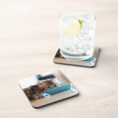 Junges persisches Kätzchen Getränkeuntersetzer (Rechte Seite)