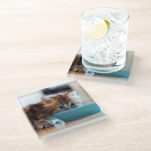 Junges persisches Kätzchen Glasuntersetzer (Schrägansicht)