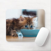 Junges persisches Kätzchen Mousepad (Mit Mouse)