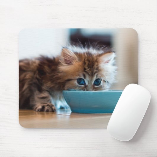 Junges persisches Kätzchen Mousepad (Mit Mouse)