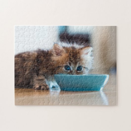 Junges persisches Kätzchen Puzzle (Horizontal)