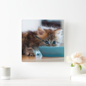 Junges persisches Kätzchen Quadratische Wanduhr (Zuhause)