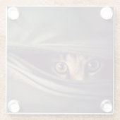Junges Tabby-Kätzchen Glasuntersetzer (Rückseite)