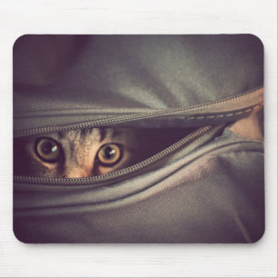 Junges Tabby-Kätzchen Mousepad