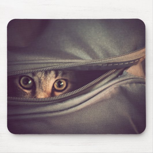 Junges Tabby-Kätzchen Mousepad (Vorne)