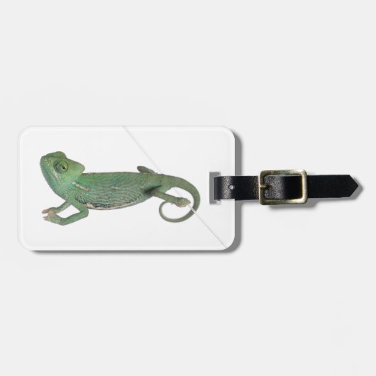 Junges verschleiertes Chamäleon, Chamaeleo Gepäckanhänger (Vorderseite horizontal)