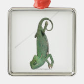 Junges verschleiertes Chamäleon, Chamaeleo Silbernes Ornament (Vorne)