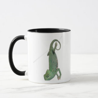 Junges verschleiertes Chamäleon, Chamaeleo Tasse