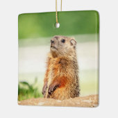 Junges Waldmurmeltier Keramikornament (Links)