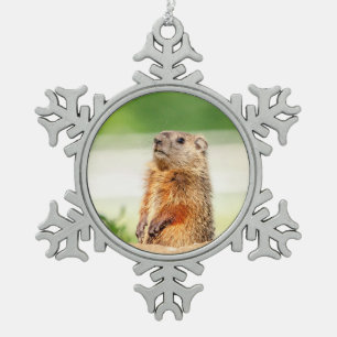 Junges Waldmurmeltier Schneeflocken Zinn-Ornament