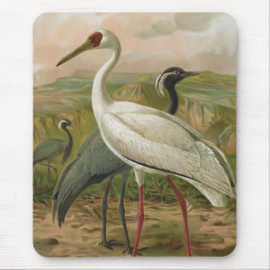 Jungfern- und Sibirische Kraniche Vintage Vogel Mousepad