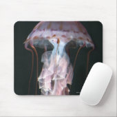 Jungfische, Chrysaora (Pelagia) Mousepad (Mit Mouse)
